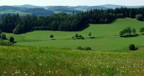 Přírodní park Svratecká hornatina (foto 2)