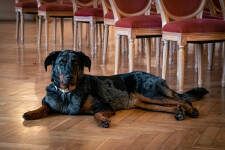 Zámecký hotel Vilémov (foto 7)