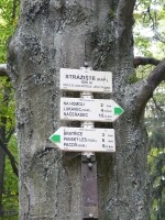 Naučná stezka Stražiště (foto 2)