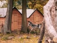 Ranč Telč (foto 10)