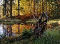 Geopark Železné hory (foto 8)