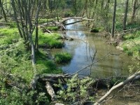 Nesměřským údolím - modrá stezka s interaktivními prvky pro děti (foto 2)