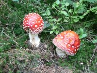 Naučná stezka Mozaika krajiny (foto 2)