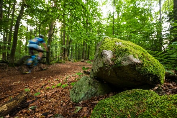 Geoparkem Vysočina na Javořici (foto 1)