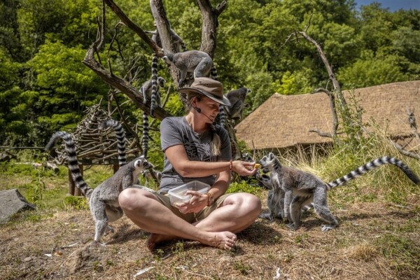 Zoologická zahrada Jihlava (foto 1)