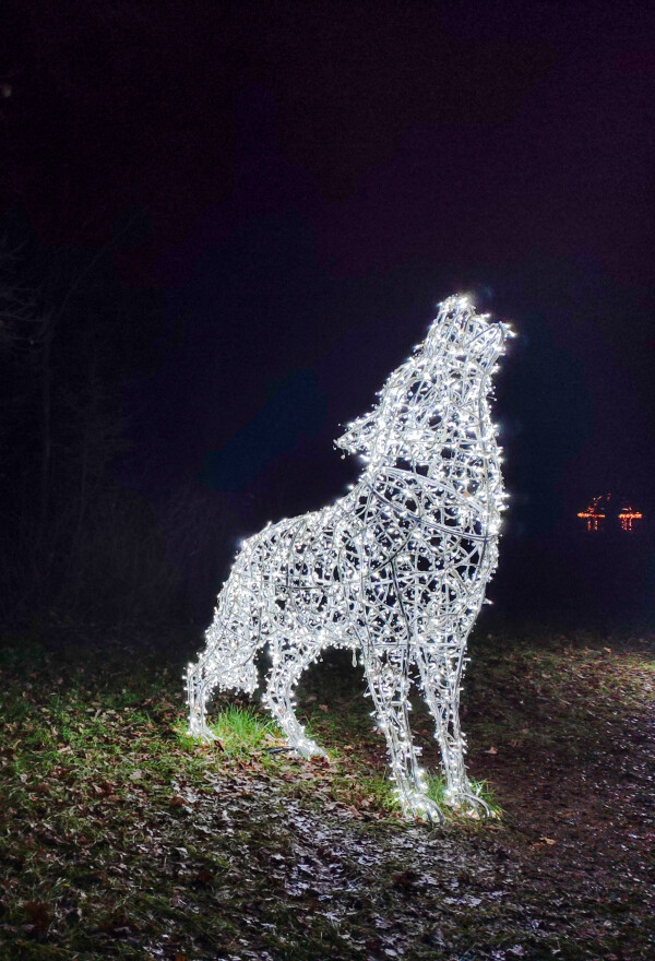 Rozzářená Světlá nad Sázavou (foto 1)