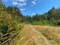 Jihlavskými vrchy do přírodního parku Čeřínek (foto 2)