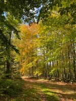 Jihlavskými vrchy do přírodního parku Čeřínek (foto 4)