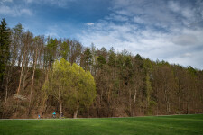 Stříbrným údolím na kole i koloběžce (foto 3)