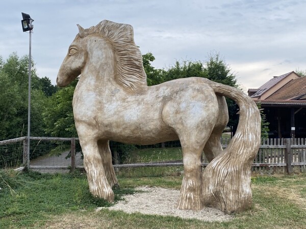 Do Dobronína za sklem i koňmi (foto 1)