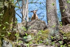 Jihovýchodní trasa Meziříčskem (foto 3)