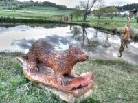 Naučná stezka Poznáváme Bory (foto 2)