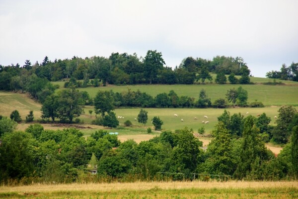 Naučná stezka městyse Měřín (foto 1)