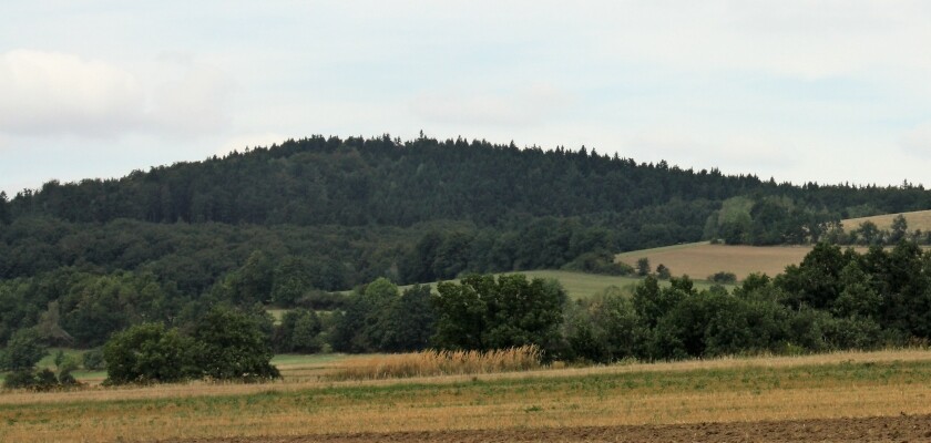 Dědkovská hora (foto 1)