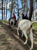 Kozí spolek v Třebíči (foto 5)