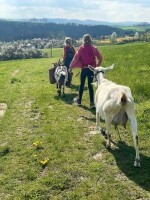 Kozí stezka – Kozí spolek (foto 4)