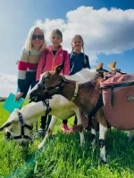 Kozí stezka – Kozí spolek (foto 2)