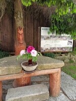 Jezdecký klub GLOD Čejov (foto 9)