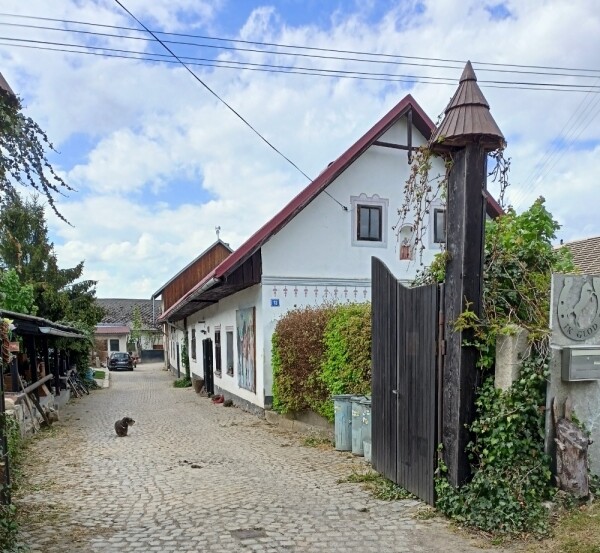Jezdecký klub GLOD Čejov (foto 1)