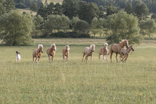 Ranč Na Špici (foto 2)