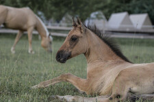 Ranč Na Špici (foto 5)