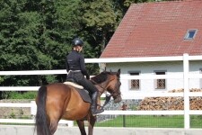 Jezdecký klub Opatský mlýn (foto 5)