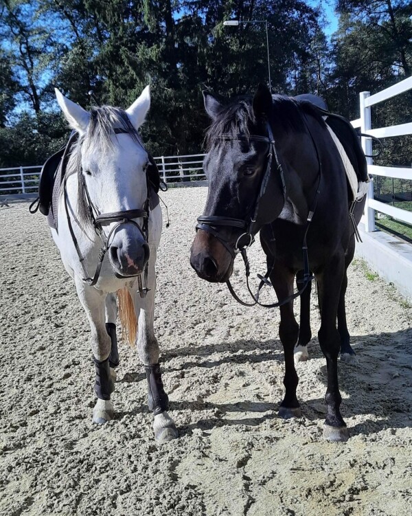 Jezdecký klub Opatský mlýn (foto 1)