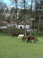Jezdecký klub Opatský mlýn (foto 6)