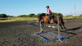 Jezdecká školička DAGRI (foto 3)