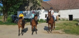 Jezdecká školička DAGRI (foto 5)