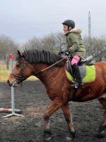 Jezdecká školička DAGRI (foto 6)