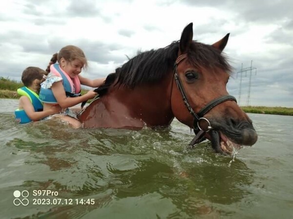 Jezdecká školička DAGRI (foto 1)