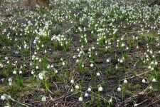 Naučná stezka Ranské polesí (foto 2)