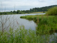 Naučná stezka Ranské polesí (foto 6)