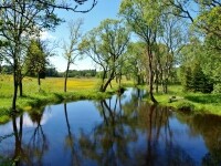 Naučná stezka Ranské polesí (foto 7)