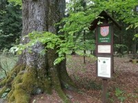 Naučná stezka Ranské polesí (foto 8)