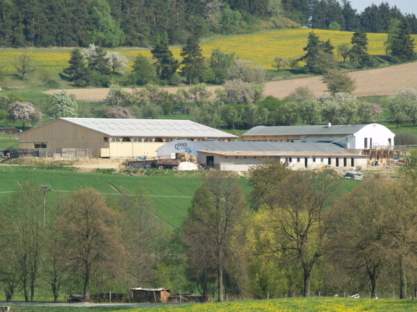 Q RANCH U PRAMENE DYJE (foto 1)