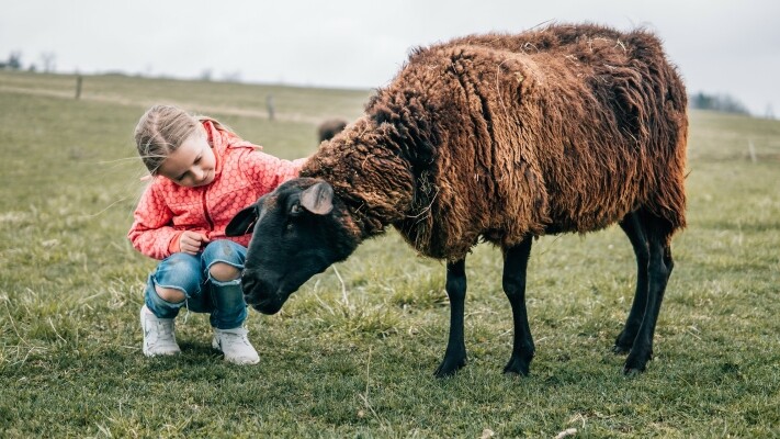 Na výlet do Zvěřince (foto 1)