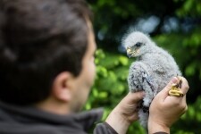 Za zvířátky do Záchranné stanice Pavlov (foto 4)
