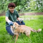 Za zvířátky do Záchranné stanice Pavlov (foto 5)