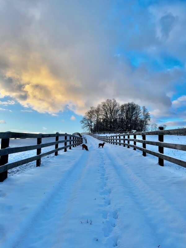 Farma Sýkorův mlýn (foto 1)
