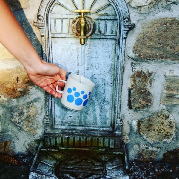 Za prameny Počátek a jejich okolím (foto 1)