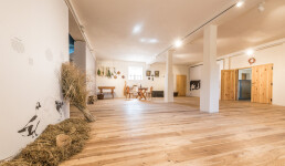 Užijte si den v areálu Panského dvora (foto 8)