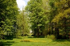 Pacovské parky (foto 4)