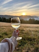 Posed Palouček (foto 4)