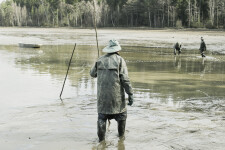 Žďárský kapr (foto 3)