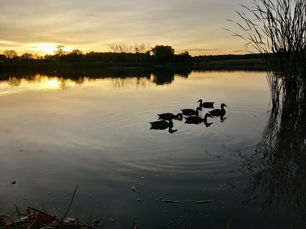 Sportovní den v Třebíči (foto 1)