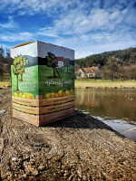 Ujčovský mošt (foto 2)