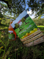 Ujčovský mošt (foto 3)