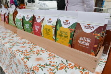 Rakytník z Bohdalova (foto 3)